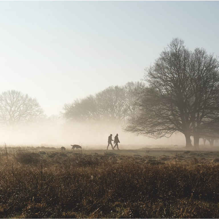 I Stock 1131773069 3x