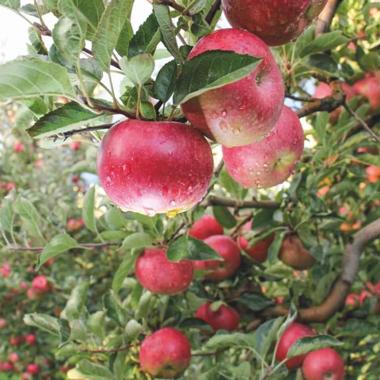 I Stock 613534346 3x